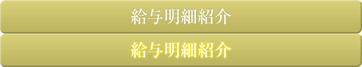 給与明細紹介