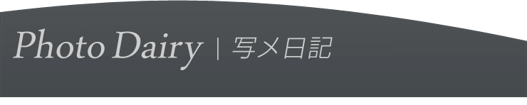 写メ日記一覧